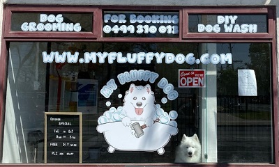 My Fluffy Dog Grooming Services